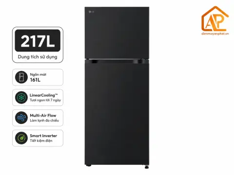 Tủ lạnh LG Inverter 217 lít LTB21BLMI