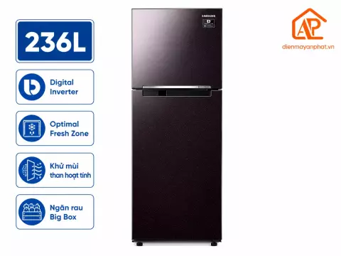 Tủ lạnh Samsung Inverter 236 lít RT22M4032BY