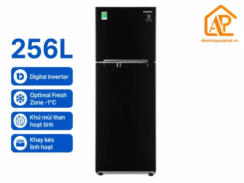 Tủ lạnh Samsung Inverter 256 lít RT25M4032BU