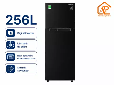 Tủ lạnh Samsung Inverter 256 lít RT25M4032BY