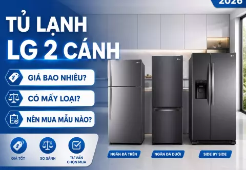 Tủ lạnh LG 2 cánh: giá bao nhiêu, có mấy loại và nên mua model nào?